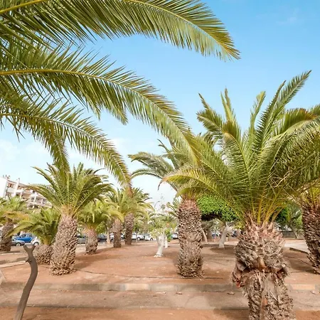 Estudio Los Cristianos 13 Lejlighed